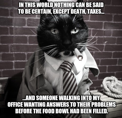 Cat Cosplay Of The Feline Variety Un Petit Chat Noir For Tax Day Cat Cosplay Of The Feline Variety Un Petit Chat Noir For Tax Day