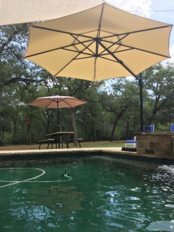 ghostbear2012:  If your in the Austin Area we got rooms available for the weekend.  https://www.misterbandb.com/rooms/27586  https://www.misterbandb.com/rooms/101427  https://www.misterbandb.com/rooms/124007 ￼  ￼