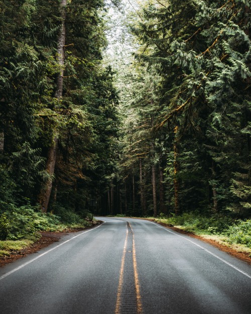 Mount Baker, Washington 