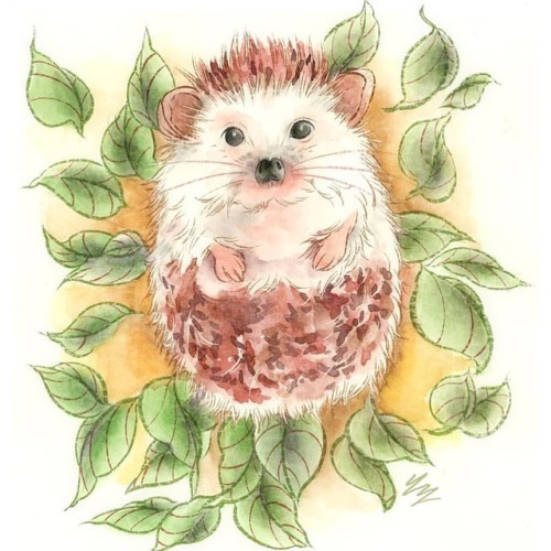 Who loves an adorable hedge hog ❤️ a new print I did for #ooak2018 at booth T23! #yienyip #watercolo