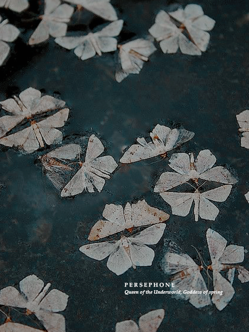 declanlynch:  mythology: persephone, queen of the underworld, goddess of spring 