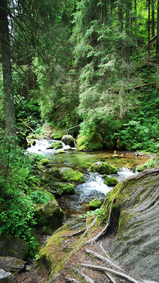 Tatra Mountains, Poland