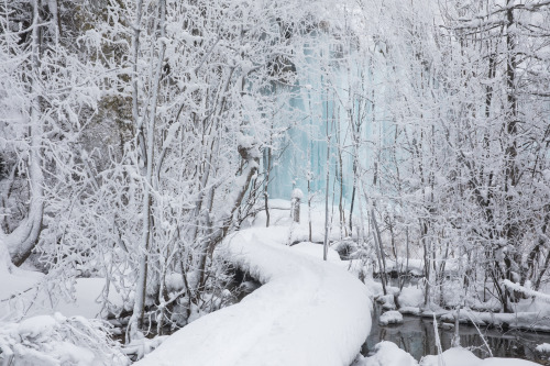 expressions-of-nature:Silver Plitvice Lakes, Croatia by Marina Malikova