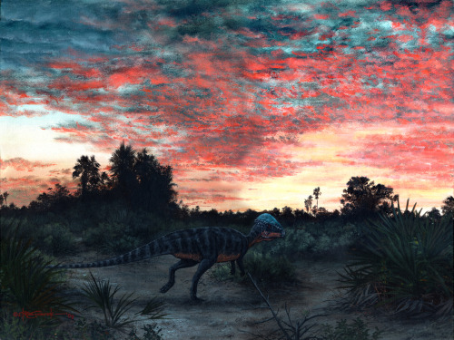 antediluvianechoes: Prenocephale, Brian Franczak The sky was made of layers. The sun’s last ra