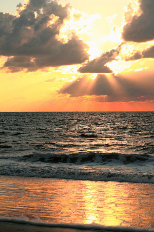 ilaurens:  Untitled - By: (Rebecca Steed) 