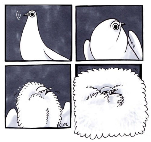 pigeoncomics: Pigeon Comic 60 - React at Anything and Everything