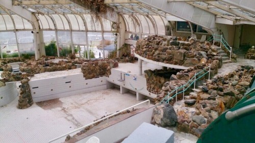 talesfromweirdland: ‪Indoor swimming pool Tropicana, where I spent many an hour as a kid, is now an 