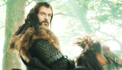 thorinsbeard:  30 Day Tolkien Challenge:  Day 11: Favorite horse? Pretty much all of them  