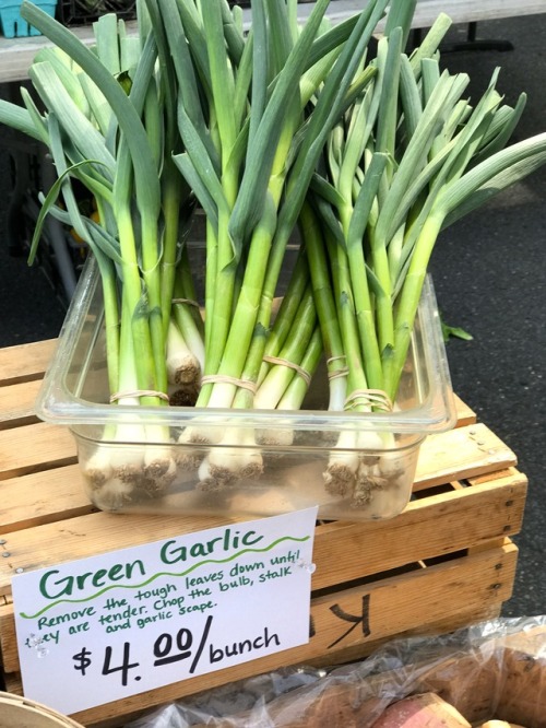 Green Garlic, Oak Marr Farmers Market, Fairfax, 2017.Looks about the same but has a much more powerf