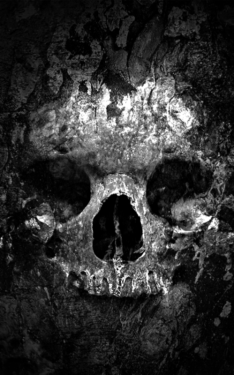darkestdee:  Source | ^(OvO)^