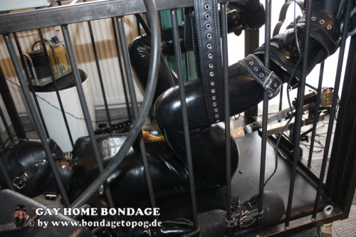 BondageToPOG.DE