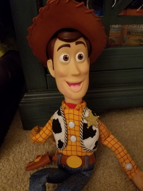 butterbee-scarlet: i found this in my garage in a moving box bc i was unpacking my pixar merch and i