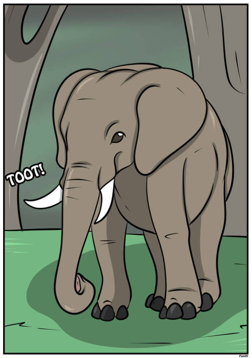 New Zoo-Elephant Page 9 by Wallace111Here is a comic illustration of a packy. I think this is suppos