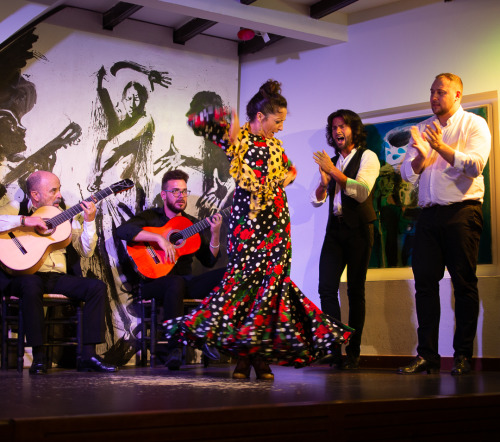 Los Gallos Flamenco / Sevilla / Spain 2019