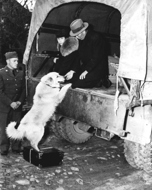 A Japanese American couple had to leave their dog, King behind during mass removal since pets were n