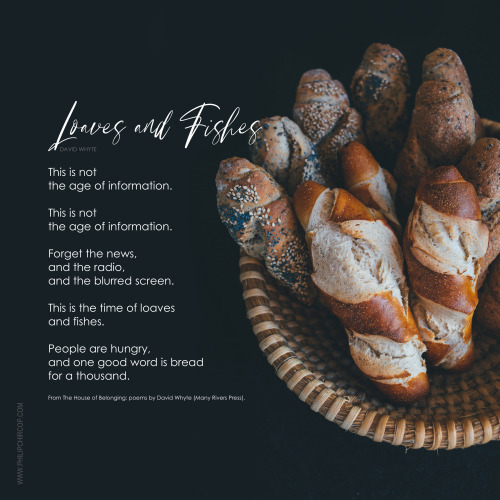 LOAVES AND FISHESHere’s a short poem I’m contemplating this morning.Which is the good word you can s