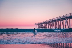 drxgonfly:  Pink Pier (by Marion Michele)