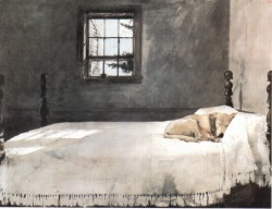 Nobrashfestivity:andrew Wyeth