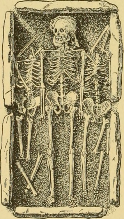 Annual report of the Bureau of Ethnology to the Secretary of the Smithsonian Institution, 1880