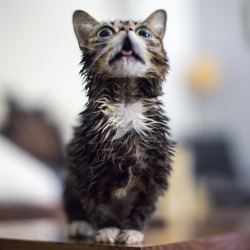 bublog:  BUB’s all cleaned up and ready