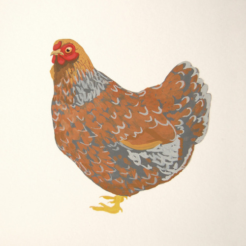 lorettark:Another chook.