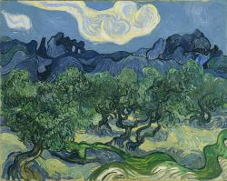 malinconie:  Vincent Van Gogh, The Olive
