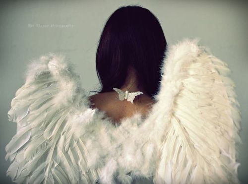 Ƹ̵̡Ӝ̵̨̄Ʒ every time you see a butterfly Ƹ̵̡Ӝ̵̨̄Ʒ Think of Me