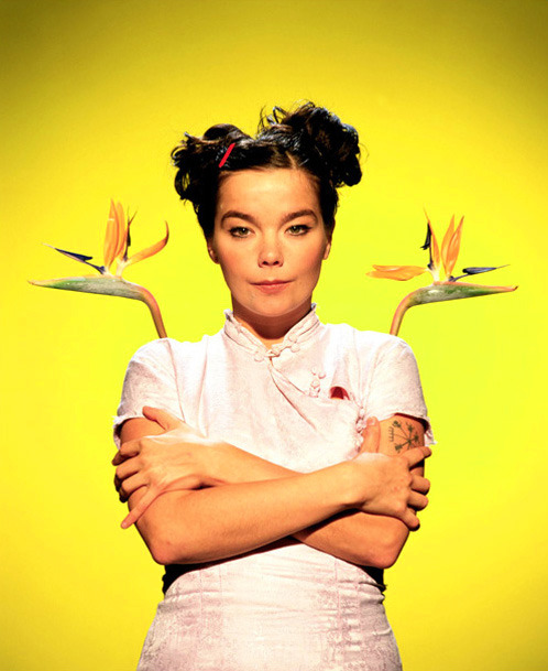triparto:  Björk (1994) photographed by Steve Double 