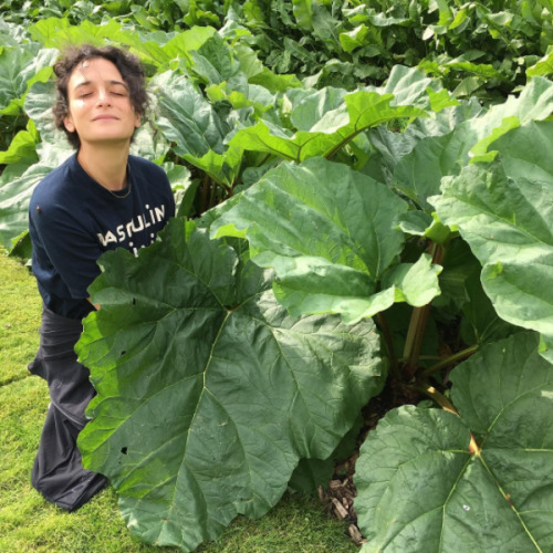 mysong5:the masculin féminin t shirt…. the rhubarb plant…..a dream