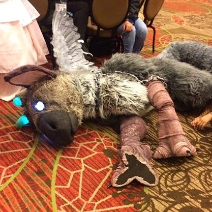 frenzy-virus: Got plenty of pictures of my Trico cosplay from Afest, here are some of my favorites! I always love wearing big suits out and hearing everyone’s reactions. Anytime you see the Boy holding trico’s face, we were trying to relieve pressure