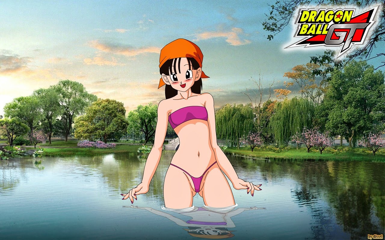 dragonball-hentai18:  DBZ Girls in Panties/thongs/underwear - requested 