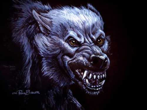 weirdlandtv:Concept art and the finished puppet/suit/rig by Rick Baker for An American Werewolf in L