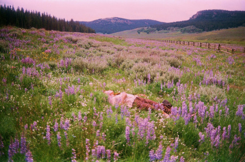 untrustyou:  Renee Ackerman 