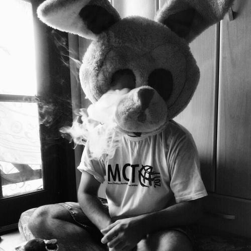 Crush a bit, little bit, roll it up, take a hit