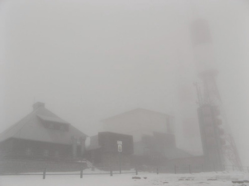 dismissals:  foggy af