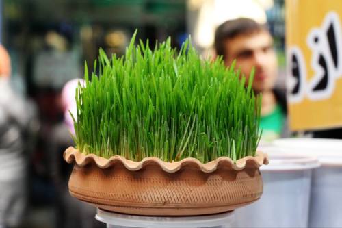 iamfromiran:Norouz, the Persian New Year,  is COMING SOON!!! ==> March 19th/20th  Norouz, the Per