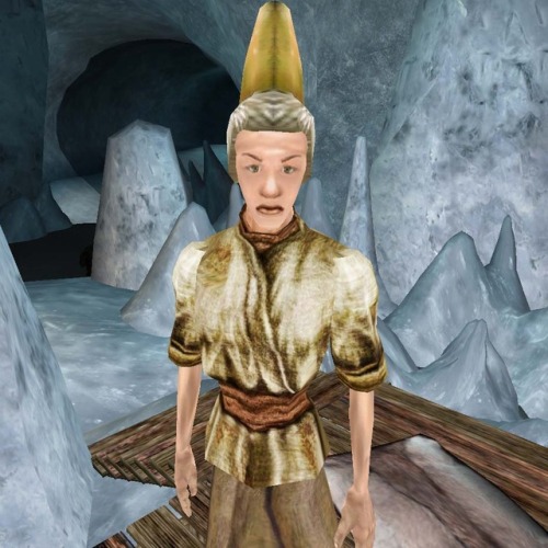 uesp: Did You Know: Despite supposedly being from Colovia, the Colovian Fur Helm was not seen when w