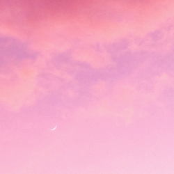 bbygirl-l:  kikitan:  sunset over palm beach,