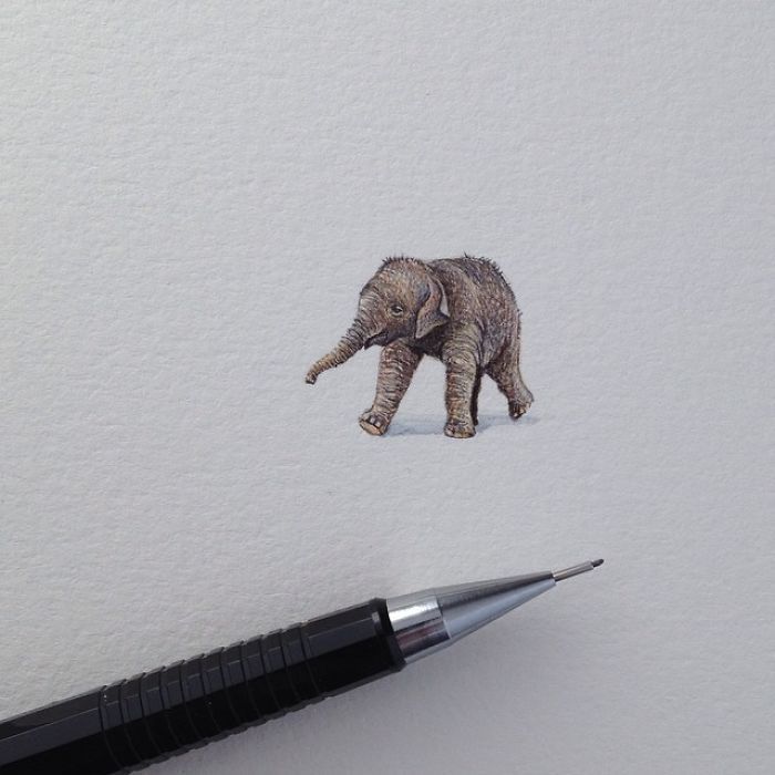 culturenlifestyle:  Adorable Miniature Illustrations by Brooke Rothshank Miniature