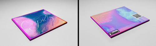 Student Project: