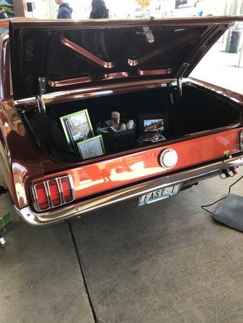 Some beauties from the mustang show today 😍