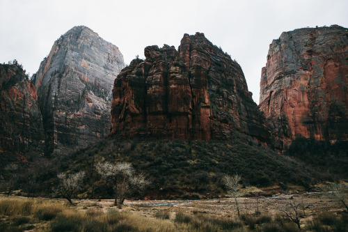 thestorybook-adventure - jaredchambers - Zion National Park,...