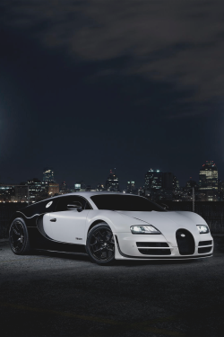 Premium Elegance.