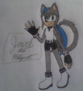So... I Have A Sonic OC