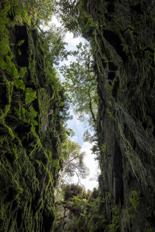 90377: Luds Church, Gradbach, Staffordshire by Andrew Kearton calendars | prints | gettyimages | ala