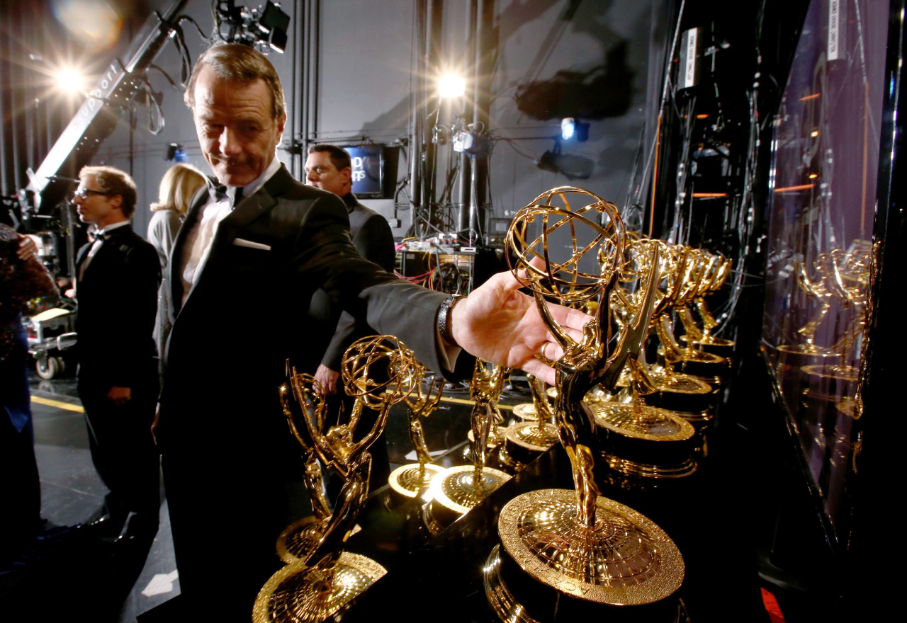 Bryan Cranston, at The 66th Primetime Emmy Awards, Aug 25, 2014.
(click the image for extremely high-res photo.)