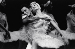 Galina-Ulanova:  Julie Kent And Guillaume Graffin In Swan Lake (Abt)