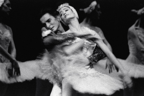 galina-ulanova: Julie Kent and Guillaume Graffin in Swan Lake (ABT)