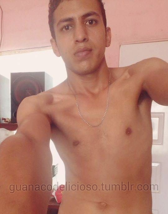 guanacodelicioso:  Rodrigo macho tratando de conquistarte con su paloma de ciudad