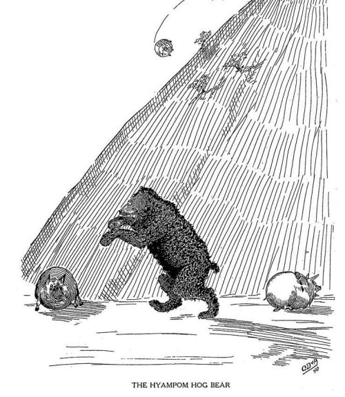 The Hyampom Hog Bear is a bear that was reported by the lumberjacks in North America. The Hyampom Ho